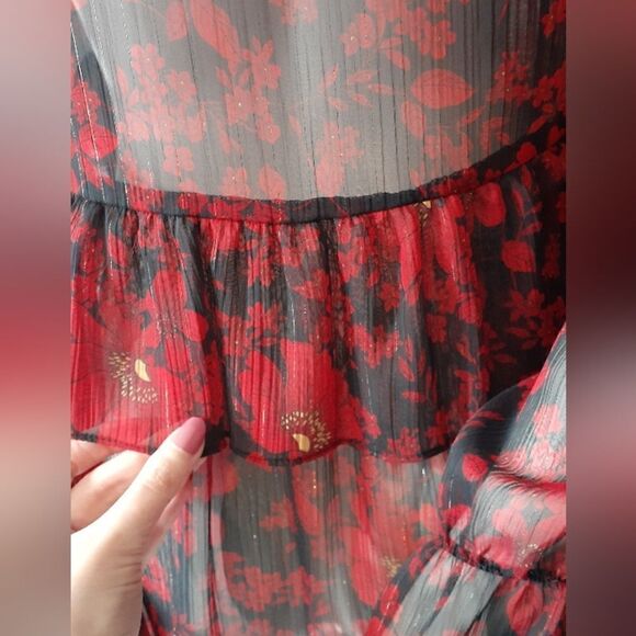 Zara Chiffon Sheer Ruffled Mini Dress - Picture 11 of 13